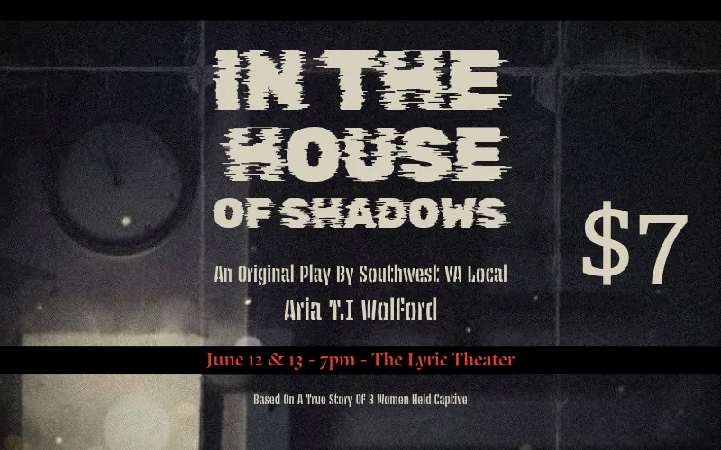 In The House Of Shadows poster